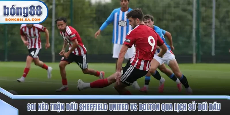 Soi kèo trận đấu Sheffield United vs Bolton qua nhiều dữ liệu