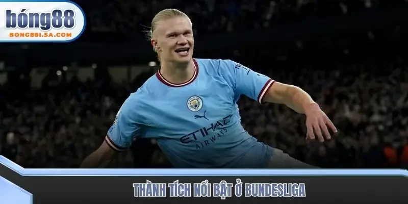 Thành tích nổi bật ở Bundesliga